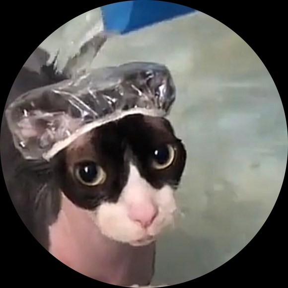 nelsolooez